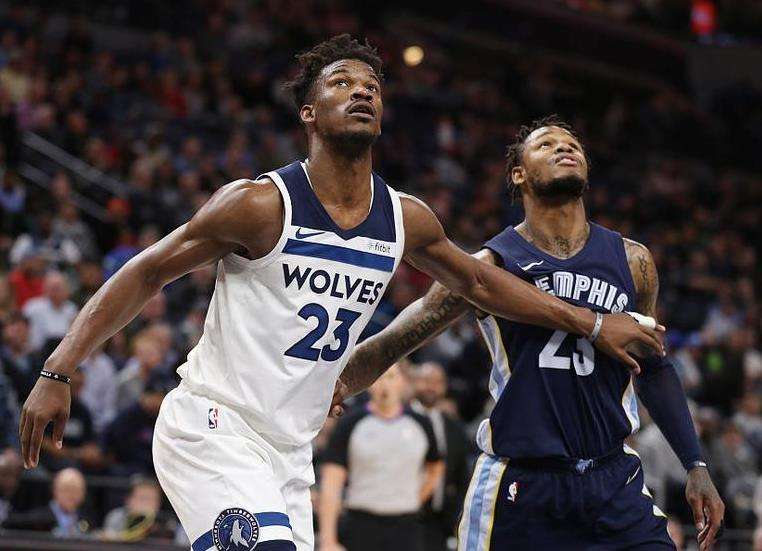 鸟类回访记 鸟类回访记